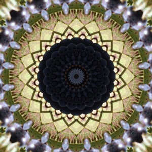 Die Kraft aus der Zentrierung