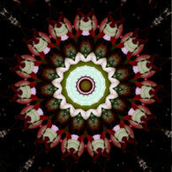 Harmonie und Gleichgewicht