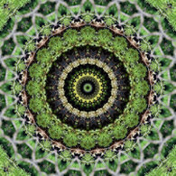 Ordnung und Zentrierung