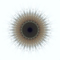 spirituelles Fenster