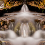 Naturwesen aus dem Element Wasser