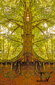 Naturenergie aus dem Element Erde